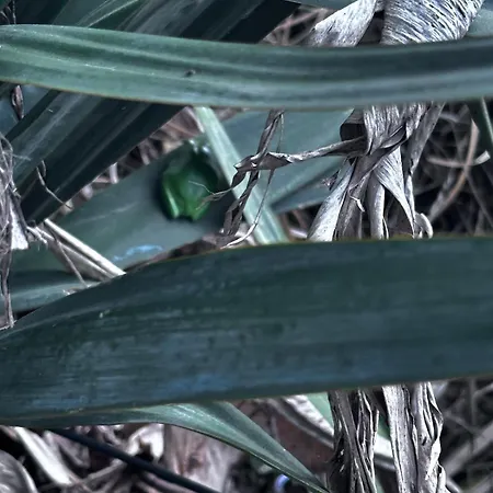 Feriehus Moulin Du Sud