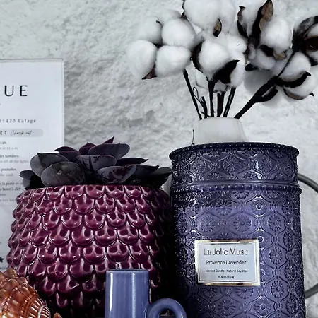 Moulin Du Sud Feriehus