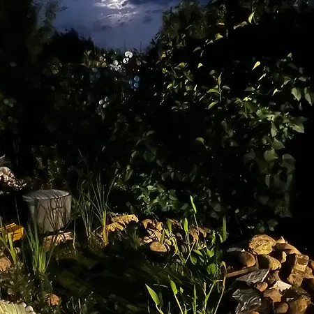 度假居 Moulin Du Sud *