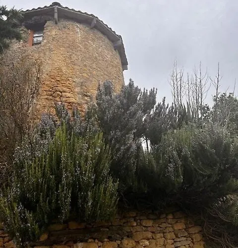 Moulin Du Sud Lafage