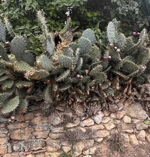 Moulin Du Sud Дом отдыха *