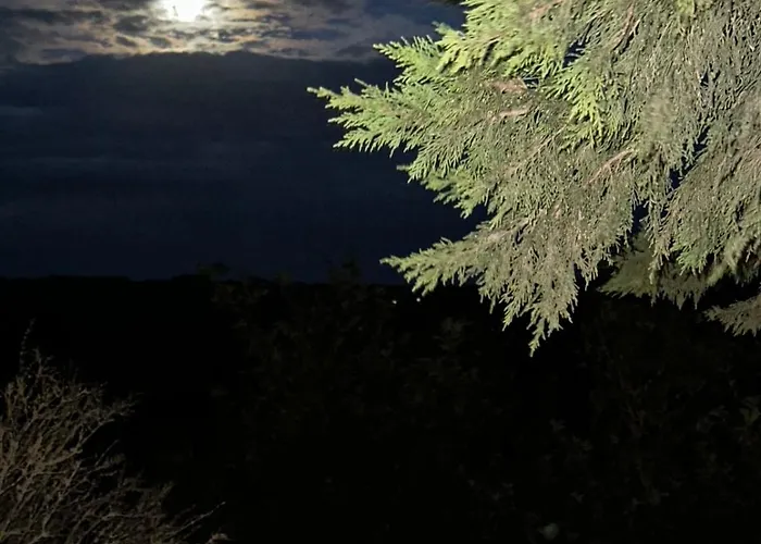 Moulin Du Sud Lafage