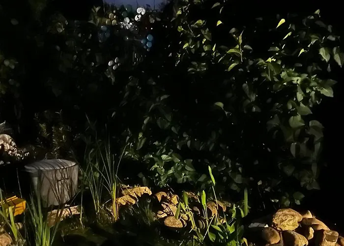 Дом отдыха Moulin Du Sud *