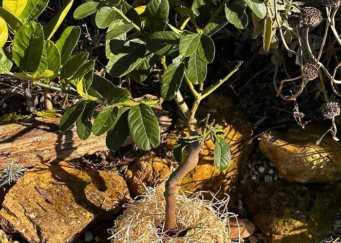 Moulin Du Sud Дом отдыха *